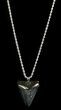 Polished Megalodon Tooth Necklace #36583-1